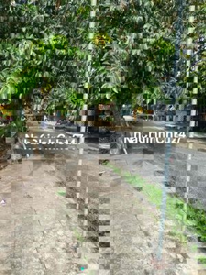 cần tiền trả nợ bán đất gốc 2 mặt tiền đẹp thuận tiện kinh doanh