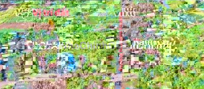 chính chủ cần bán đất sổ riêng thổ cư ấp 6 xã sông trầu trang bom đn