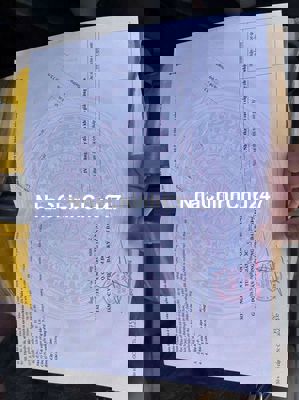 Bán đất hói kiểng 31