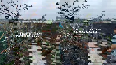 🌾 BÁN ĐẤT NÔNG NGHIỆP – VỊ TRÍ VÀNG, GẦN ĐẠI LỘ THĂNG LONG, HOÀI ĐỨC 🌾