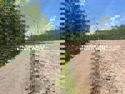 Cần bán gấp Định An 225m2 có 100tc đường nhựa giá chỉ 4xx cực rẻ luôn