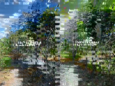 Đất nông nghiệp 5673,5m2 Võ Văn Kiệt (có sẵn nhà vườn và cây trồng)