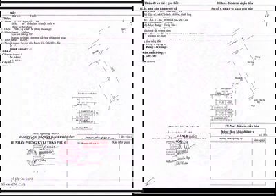 Bán Vườn Sầu Riêng 500m2 Tại Cửa Cạn Chỉ 1.5 tỷ, Đã Xây Rào Kín Cổng