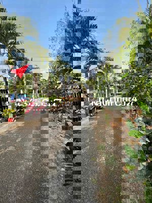 Đất 2MT 53mx129m, 6 công, đất đang trồng sầu riêng, mít