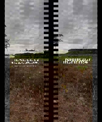 Bán gấp 1 sào đất ấp Tân Mai, xã Lộc Thành, Lộc Ninh, Bình Phước