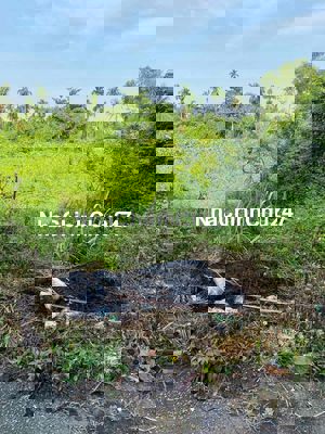 chính chủ gửi bán lo đất nhị bình (7x34)