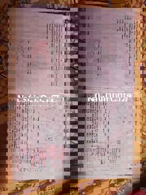 Bán gấp 2 mẫu đất lúa xã mỹ bình đức huệ