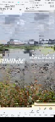 Cần bán 50000m2 đất tiếp giáp với khu dân cư chợ Bình Điền