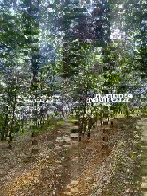 CẦN TIỀN BÁN LÔ ĐẤT XÃ TÂN TIẾN