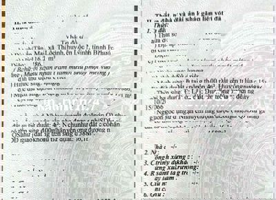 Bán 1,6hecta đất xã Lộc Thành, H. Lộc Ninh BP giá 6,9tỷ