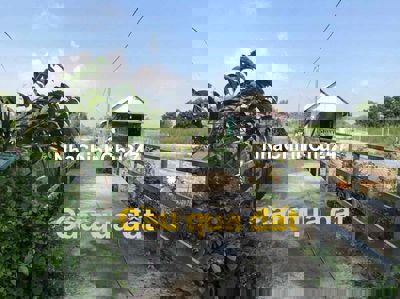 Đất CLN làm nhà vườn rạch bao quanh điện nước sẵn gần dân