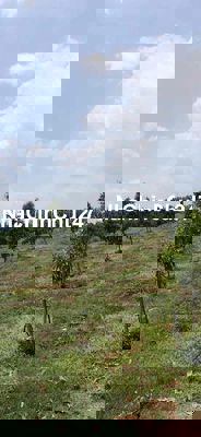 đất nông nghiệp kết hợp đất ở , đất đen đẹp