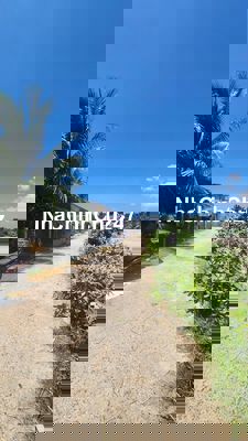 Đất vườn đô vinh, đường bê tông ô tô