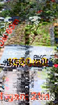 Bán gấp đất nền 1200m2 tại Đường N2, Mỹ Đông, Tháp Mười, Đồng Tháp