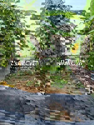 Đất Cổng 11 Kp Vườn Dừa hẻm thông 5m