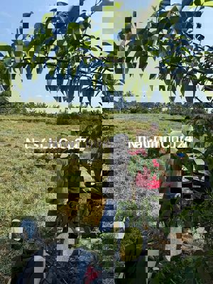 Kẹt tiền bán lỗ 436m2 đường ô tô giá 330 triệu gần CHỢ THUẬN MỸ