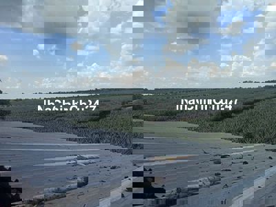 Cần bán 10ha đất nông nghiệp