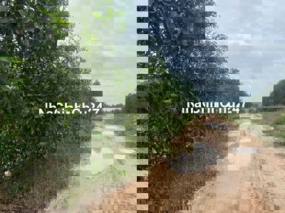 Bán 3.8 mẫu đất Tân Tiến - TX LaGi chỉ 1.5 tỷ/ mẫu đường rộng 10m