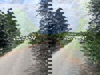 2,7 Héc ta đất trồng tràm, sổ hồng sẵn - 1,6 tỷ