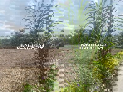 Đất đã cải tạo, tiện xây xưởng