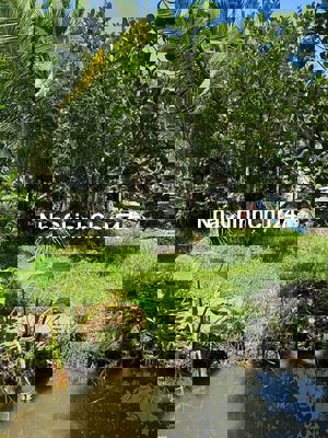 BÁN ĐẤT 4575m2 TRUNG LẬP HẠ, CỦ CHI, CÓ NHÀ TIỀN CHẾ, VƯỜN CÂY ĂN TRÁI