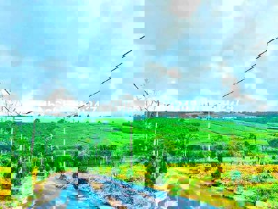 CHỈ 390 CHO 1 SÀO ĐẤT VIEW ĐỒI CHÈ BÊN CẠNH SUỐI