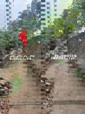 CẦN BÁN TRANG TRẠI ĐÃ CÓ NHÀ TƯỜNG BAO