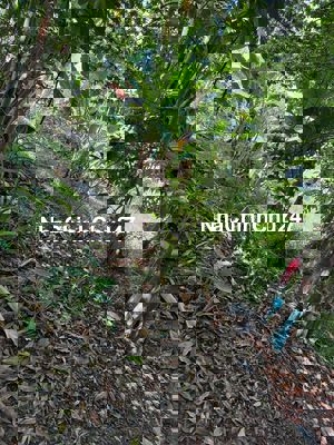 bán đất còn thương lượng