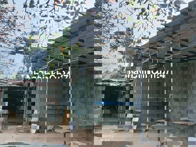 Đất biển k64 trần đình tri thông k82 nguyễn chánh