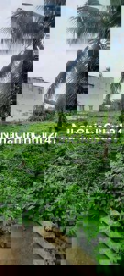 Ban lo đat đuong hiep binh,hiep binh chanh