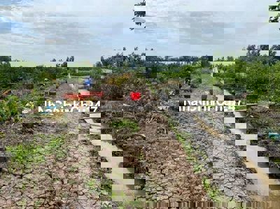 1000m2 đất sổ hồng riêng gần chợ và UBND xã Thạnh Lợi