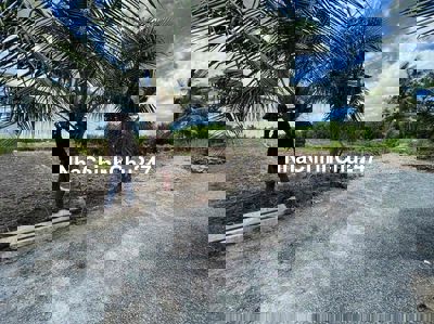 Còn lô vườn 1000m2 - Đường ô tô - Sổ sẵn