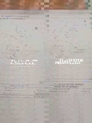 Đất trồng cây lâu năm. 650tr 1000m2