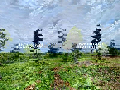 💥1.28 hecta đất siêu đẹp nằm trên mặt đường lớn Thôn 4 xã Cư Ebur