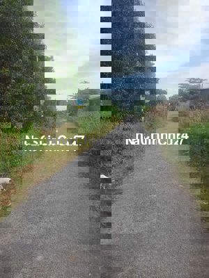 Đất vườn Phước Bình, ngay sát kcn Mỹ Xuân, đường nhựa thông, shr sẵn.