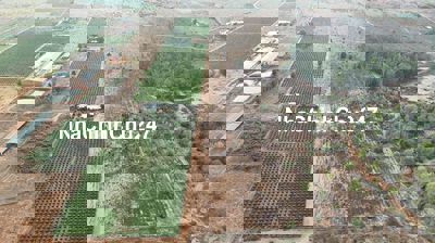 Bán Đất Gần Biển Bình Thuận.