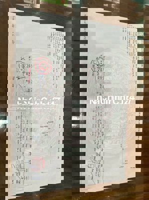 Chính chủ bán 3 lô đất thuộc Khu nam cầu Cẩm Lệ, P.Hòa Xuân, Q.Cẩm Lệ