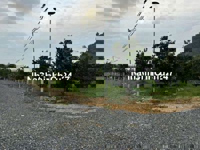 Tui Bán gấp 2 nghìn vườn sầu bưởi sổ riêng