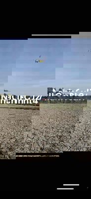 -Đất sổ đỏ nông nghiệp 808m2 nở hậu huyện Cần Giuộc, tỉnh Long An