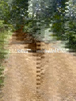 9300m2 Đất Cà phê xã Ninh gia, đức trọng