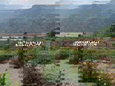 Bán đất 2 MT đường ô tô xã Liên Hà, huyện Lâm Hà