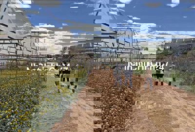 BÁN ĐẤT SIÊU RẺ, TRỊNH HOÀI ĐỨC PHƯỜNG 11, DT 1525M2, CHỈ 11,55 TỶ.