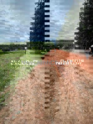 Bán gấp hơn 9 sào đất vườn 300 củ/sổ