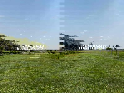 1300m2 đất trồng cây lâu năm giá 3 tỷ