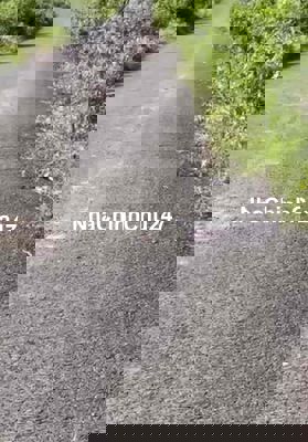 Bán gấp 1,2 hecta mt đường nhựa liên xã Phước Thiện, Bù Đốp BP