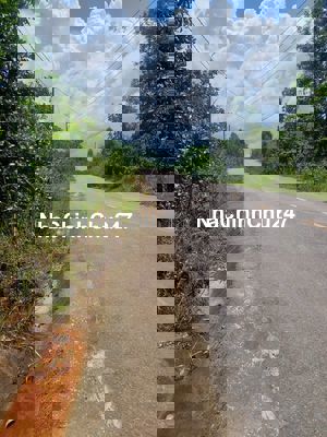 8,1hec Đất Vườn MaDaGui, Cạnh Cao Tốc, 300m MT đường nhựa, Giá 19,2 Tỷ