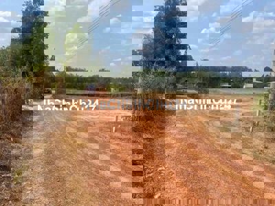 Bán gấp 470m2 có 100tc giá 440tr Định An nợ hậu đẹp, mua lô này quá rẻ