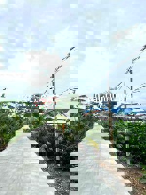 Vườn chanh 500m2 - Đường oto đến đất. Ngay xã Thạnh Hoà , Bến Lức