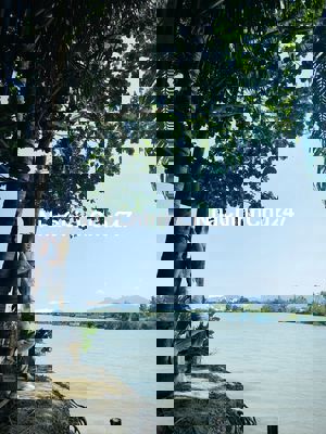 đất Giá hời cho nhà đầu tư. Cách đường quốc lộ 703 50m