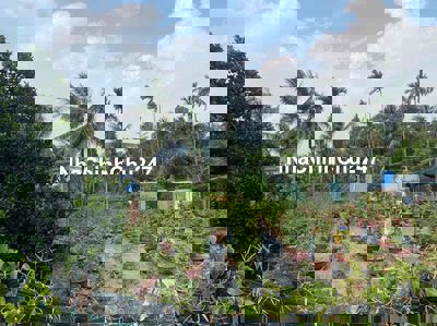 NHỊ BÌNH - 228m2 (10x23). 2,5 tỷ